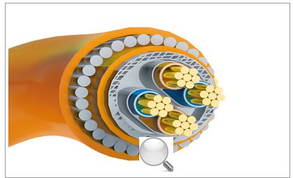 FF �F(xi��n)��������|